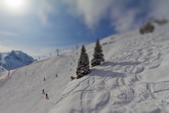 canon tilt shift